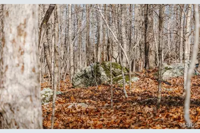 000 County Road 352, Piedmont, MO 63957 - Photo 39