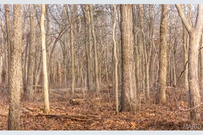 00 Ware Road, Middletown, MO 63359 - Photo 41