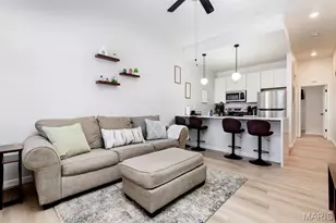 2608 S 11th St, Saint Louis, MO 63118 - Photo 9