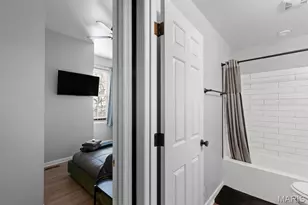 2608 S 11th St, Saint Louis, MO 63118 - Photo 49