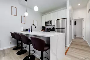 2608 S 11th St, Saint Louis, MO 63118 - Photo 7