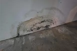 8015 Allen Ave, Saint Louis, MO 63114 - Photo 51