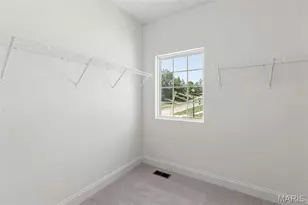 2 Pin Oak At Harvest Estates, O'Fallon, MO 63385 - Photo 21