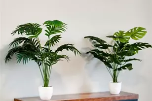 435 N Clay Ave, Ferguson, MO 63135 - Photo 23