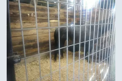 12112 Highway 17, Success, MO 65570 - Photo 45