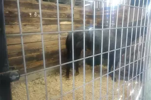 12112 Hwy 17, Success, MO 65570 - Photo 45