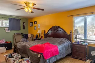 12530 Peter Moore Ln, De Soto, MO 63020 - Photo 47