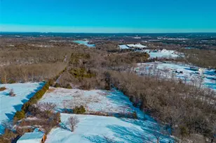 12530 Peter Moore Ln, De Soto, MO 63020 - Photo 31