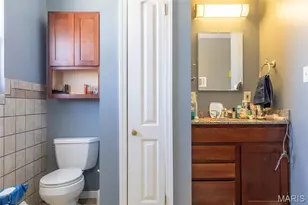 12530 Peter Moore Ln, De Soto, MO 63020 - Photo 51