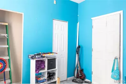 12530 Peter Moore Lane, De Soto, MO 63020 - Photo 61