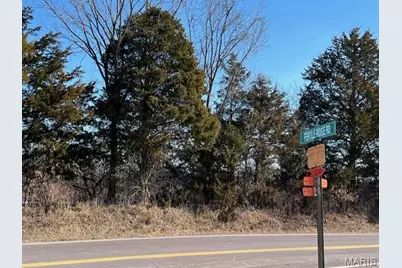 Lot 7 Parkview Farms, Blackwell, MO 63626 - Photo 3