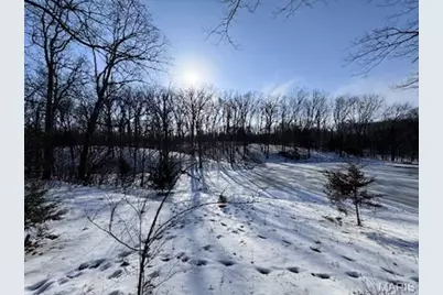 98 Oak Tree Lane, Winfield, MO 63389 - Photo 3