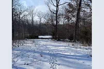 98 Oak Tree Lane, Winfield, MO 63389 - Photo 5