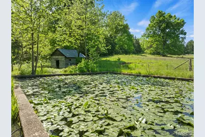 10715 Calico Road, Fletcher, MO 63030 - Photo 63