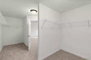 1142 Bloomfield Dr, Eureka, MO 63025 - Photo 31