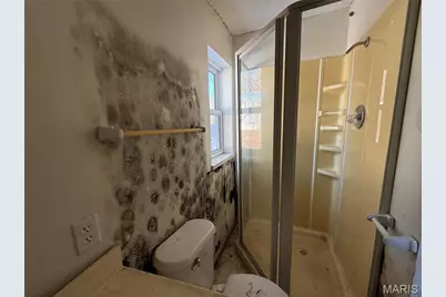 1031 Farmview Drive, Saint Louis, MO 63138 - Photo 11