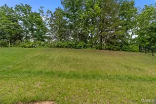 534 Leather Reins Dr, Wentzville, MO 63385 - Photo 55