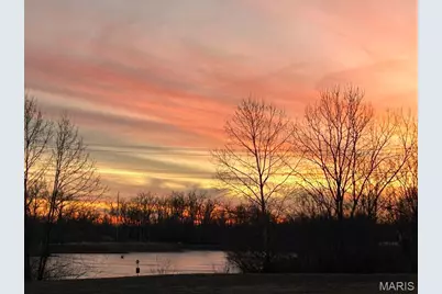 1133 Centre Lake Drive, Cottleville, MO 63376 - Photo 27