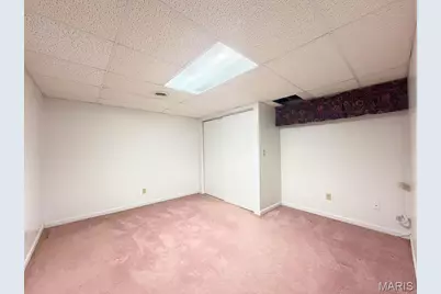 113 Parkview Drive, Crystal City, MO 63019 - Photo 55