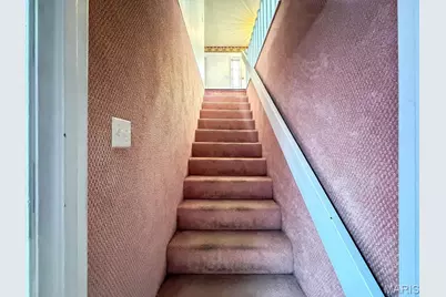 113 Parkview Drive, Crystal City, MO 63019 - Photo 47