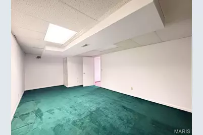 113 Parkview Drive, Crystal City, MO 63019 - Photo 49