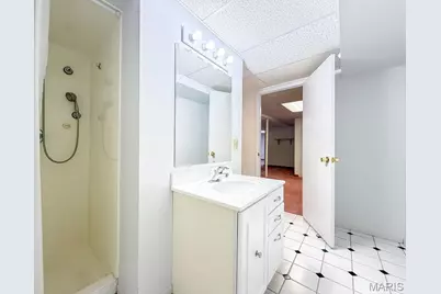 113 Parkview Drive, Crystal City, MO 63019 - Photo 57