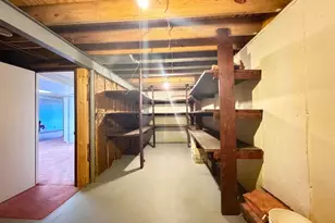 113 Parkview Dr, Crystal City, MO 63019 - Photo 59