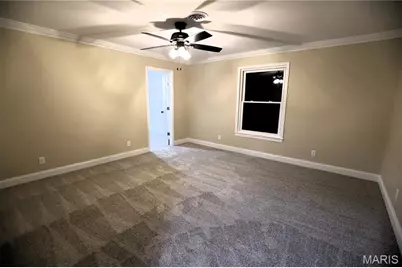 310 Fairview Lane, Desloge, MO 63601 - Photo 37