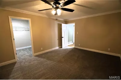 310 Fairview Lane, Desloge, MO 63601 - Photo 39