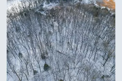 5050 Madison Road, Farmington, MO 63640 - Photo 69