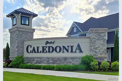 327 Dalriada Boulevard, O'Fallon, MO 63368 - Photo 31
