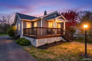 220 Chestnut Ave, Webster Groves, MO 63119 - Photo 33