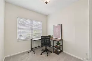 220 Chestnut Ave, Webster Groves, MO 63119 - Photo 21