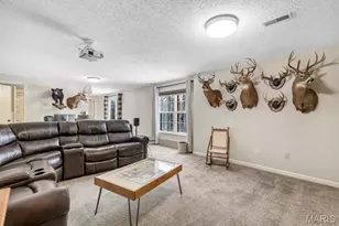 9 Nottingham Ct, Lake Sherwood, MO 63357 - Photo 23