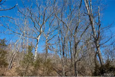 12328 Top Ozark Road, Belgrade, MO 63622 - Photo 73