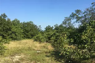 221 Hwy Vance Rd Old Middlebrook Rd 221 Hwy, Ironton, MO 63663 - Photo 9