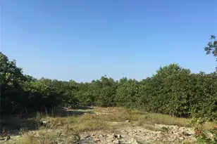 221 Hwy Vance Rd Old Middlebrook Rd 221 Hwy, Ironton, MO 63663 - Photo 5