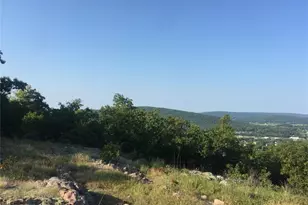 221 Hwy Vance Rd Old Middlebrook Rd 221 Hwy, Ironton, MO 63663 - Photo 3