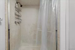 4348 Chippewa St, Saint Louis, MO 63116 - Photo 19