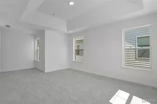 7119 Trainor Pl, Saint Louis, MO 63116 - Photo 17