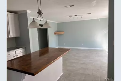 502 Iron Lantern Drive, Ballwin, MO 63011 - Photo 3