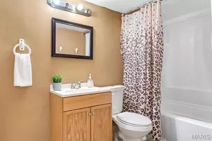 317 Lake Side View Ln, Cottleville, MO 63376 - Photo 41