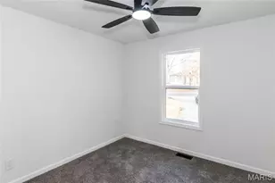 3110 Carron Rd, Festus, MO 63028 - Photo 19