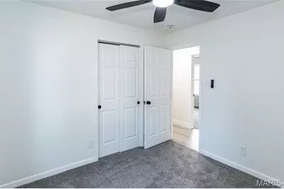 3110 Carron Road, Festus, MO 63028 - Photo 21