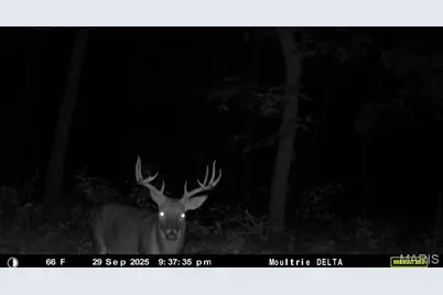 00 Spring Creek Road, Novinger, MO 63544 - Photo 21