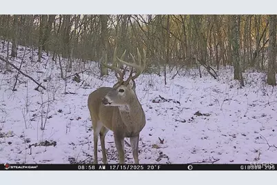 00 Spring Creek Road, Novinger, MO 63544 - Photo 17