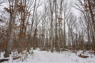 345 Quarry Road, Silex, MO 63377 - Photo 79