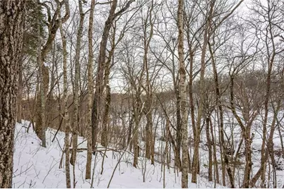 345 Quarry Road, Silex, MO 63377 - Photo 37