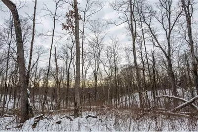 345 Quarry Road, Silex, MO 63377 - Photo 59