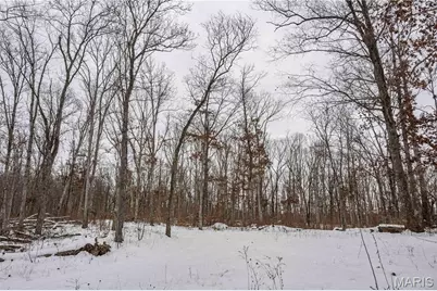 345 Quarry Road, Silex, MO 63377 - Photo 77